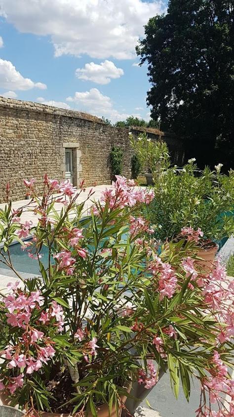 Saint-Pierre-des-Nids L'Annexe Du Plessis Bochardゲストハウス エクステリア 写真